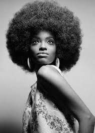 Pin On Gurl You Betta Do That Black Hair Is Beautiful