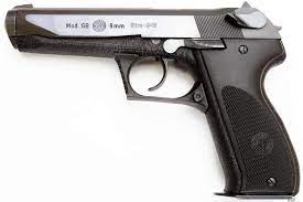 Special GBs - For Italian Civil Market | Steyr Club Forums