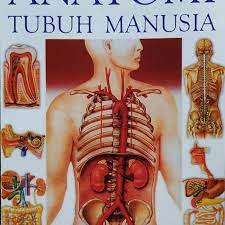 Maybe you would like to learn more about one of these? Belajar Ilmu Dasar Anatomi Dengan Cepat Dan Mudah Ringtimes Banyuwangi