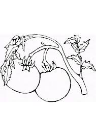 Page 44 Sur 44 Sur Hugolescargot Com Coloriage Coloriage Fruits Dessin Gratuit