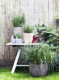 Ob Als Gartenpflanze Oder Im Kubel Auf Dem Balkon Oder Der Terrasse Lampenputzergras Ist Immer Ein Naturhafter Attrak Lampenputzergras Bluhende Pflanzen Gras
