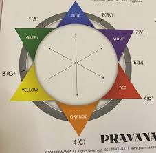 Check spelling or type a new query. The Color Wheel Why It S Important For Hair Lkc Studios Have A Good Hair Day