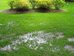 Check spelling or type a new query. 5 Ways To Destroy A Septic System