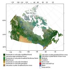 Remote Sensing Free Full Text Circa 2010 Land Cover Of Canada Local Optimization Methodology And Product Development Html