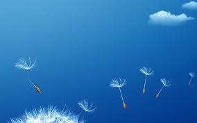 We did not find results for: Hd Wallpaper Wallpaper Fly Flower Dandelion Sky Blue Nature Low Angle View Wallpaper Flare