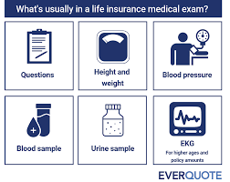 Registration must be done online. The Life Insurance Medical Exam What Are They Looking For
