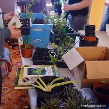 How to move plants in the garden. Moving House Tips On Moving Garden Plants To Your New Home Lovely Greens