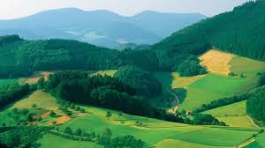 Back to nature in the rheinau wetlands. When In Germany Do As The Romans Did