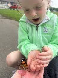 Preschoolers are enjoying the butterfly metamorphosis this spring! The kids  were able to release their butterflies into nature! #preschoolers #southie  #southboston #buttery