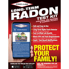 Learn how to detect carbon monoxide in your home and how to stay safe. Pro Lab Long Term Radon Gas Test Kit Rl116 The Home Depot