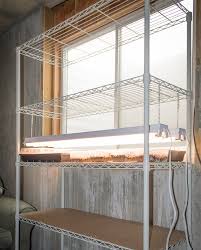 Apr 19, 2020 · grow lights also encourage plants to grow straight up towards the overhead light source instead of leaning. How To Build An Easy Diy Grow Light For Seedlings Caboose Spice Company