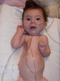 Kach Blake pointer 41 42 chaba tkon jdid wla aribi kolar li3ndak y rsali