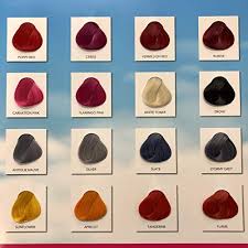 No chemicals, no ppd, no ammonia, no peroxide, no metallic salts, or any other chemical will ever be used in our hair color. Amazon Com 4 X Tubs Directions Hair Dye Colour Choose Any Colours By La Riche Beauty