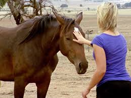 We've been working hard behind the scenes with our partners to help bring you the next generation in dump truck and job site management. Prime Video Mcleod S Daughters