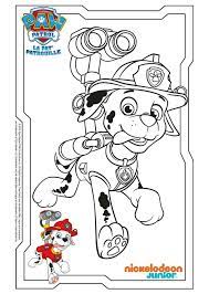 Zum drucken und malen paw patrol. Paw Patrol Ausmalbilder Chase Und Sky Novocom Top