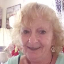 what are the insects in my house?