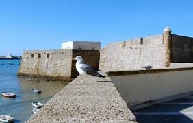 It was declared bien de interés cultural in 1993. Castle Of Santa Catalina Cadiz Ticket Price Timings Address Triphobo