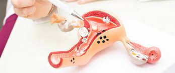 تنظيف الرحم بعد الولادة دليلك الشامل ويب طب