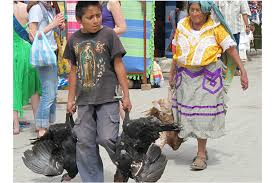 Most families follow traditions begun on the first. Were Native Americans Raising Turkeys Long Before The First Thanksgiving Csmonitor Com