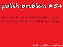 Polish Problems Polish Memes Polish Polish Language