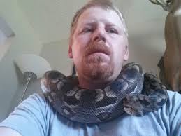 How big does a male ball python get?