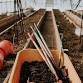 Farm Volunteer Day - July