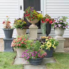 Planters &amp; Pots