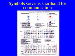 Ppt Dental Charting Powerpoint Presentation Free Download