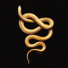 Black And Gold Snake Tattoo Gold Sheets Are Only For Malec Snakessssssssssssssss Black And Gold Aesthetic Gold Aesthetic Snake Art