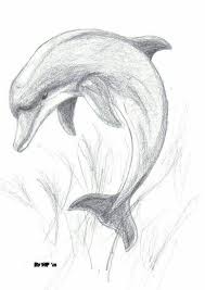 Face pencil drawing cool pencil drawings beginner drawing lessons drawing for beginners parenting ideas kids and parenting drawing skills drawing ideas humor quotes. Pin By Rachel Crowell On Draw Dolphin Drawing Cool Art Drawings Art Drawings Sketches Simple
