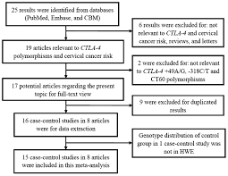 cytotoxic t lymphocyte associated antigen 4 polymorphisms