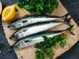 We did not find results for: Untuk Memimpikan Ikan Asin Apa Mimpi Gadis Ikan Asin Wanita Man