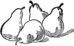 Pear Coloring Pages Best Coloring Pages For Kids In 2020 Coloring Pages Fruit Coloring Pages Coloring Pages For Kids