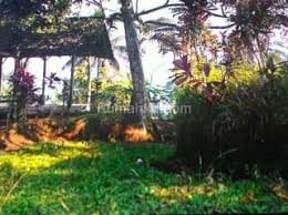 Jalan nagrak, cisarua, cibadak, sukabumi, jawa barat, indonesia, 43356. Nagrak Sukabumi Trovit