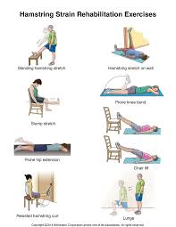 The hamstring muscles run from the pelvis and femur to the back and side of the knee. Physiological Rehabilitation Spence S Input Hamstring Recovery For Elite Sprinter