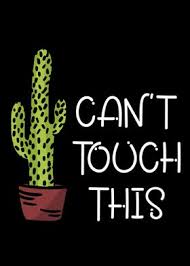 In the natural habitat, nature has a way of taking care of its own, but if you decide to. Cant Touch This Cactus Poster Art Print By Ankarsdesign Displate