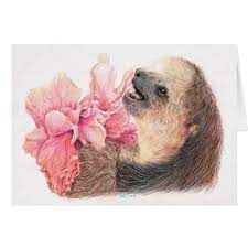 Sloth Eating Hibiscus Flower Zazzle Com Sloth Art Sloth Eating Sloth