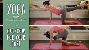 The movement between cat and cow takes your spine from an arched position (extension) to a rounded one (flexion) and back again, warming the synovial fluid that lubricates each vertebra. Cat Cow Variations Yoga For Weight Loss