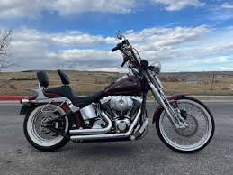 Image result for Silver 1994 FXSTS