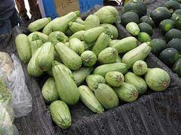 2463 barrett station rd ballwin, mo 63021. Cucurbita Pepo Acorn Squash Courgette Field Pumpkin Marrow Ornamental Gourd Patty Pan Squash Pumpkin Spaghetti Squash Squash Summer Squash Winter Squash Zucchini North Carolina Extension Gardener Plant Toolbox