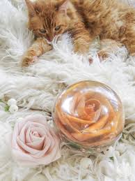 We did not find results for: Save The Bouquet Preserving Flowers In Resin Happily Ever After Etc