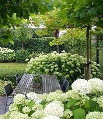 Pin By Shd On Yard Ideals In 2021 Small Garden Design Cottage Garden Garden Design