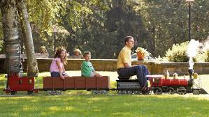 You Can Finally Buy Yourself The Tiny Rideable Train You Always Wanted Ride On Train Trains For Sale Amusement Park Rides