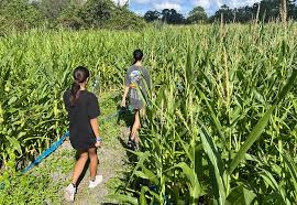 Long & Scott Farms sale in the works, community meeting coming up