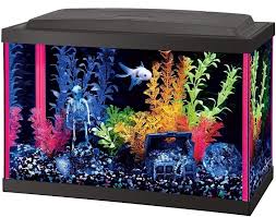 Fish Tank Ideas Fish Tank For Sales Fishtank Fishtanks Fish Tank Themes Aquarium Kit Fish Tank Decorations