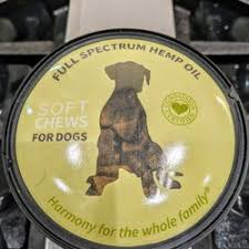 Visit your local scarborough petsmart store for essential pet supplies like food, treats and more from top brands. Best Pet Shops Near Me July 2021 Find Nearby Pet Shops Reviews Yelp