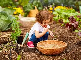 Toddlers do not think the way we think and have not yet developed the full brain architecture that adults have. Play Cognitive Development Preschoolers Raising Children Network