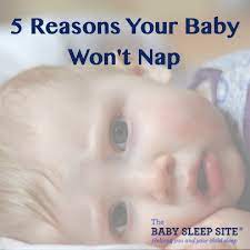 5 Reasons A Baby Won T Nap The Baby Sleep Site