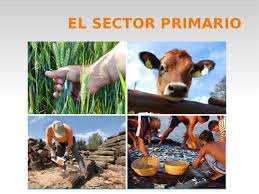 Sector primario