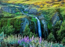 Ravine Falls North Table Mountain Ecological Reserve Photo By Greg Mitchell Outside Oroville In Butte County Butte County Landscape Photos California Hikes